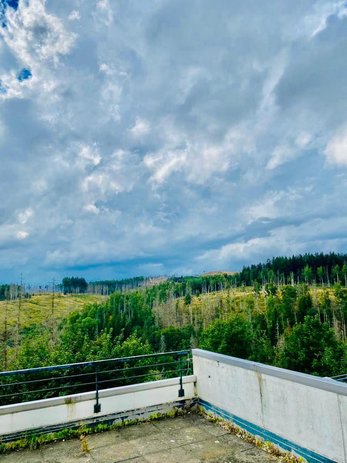 Terrassenhaus Im Harz, Pool, Sauna, Wlan Braunlage Exteriör bild